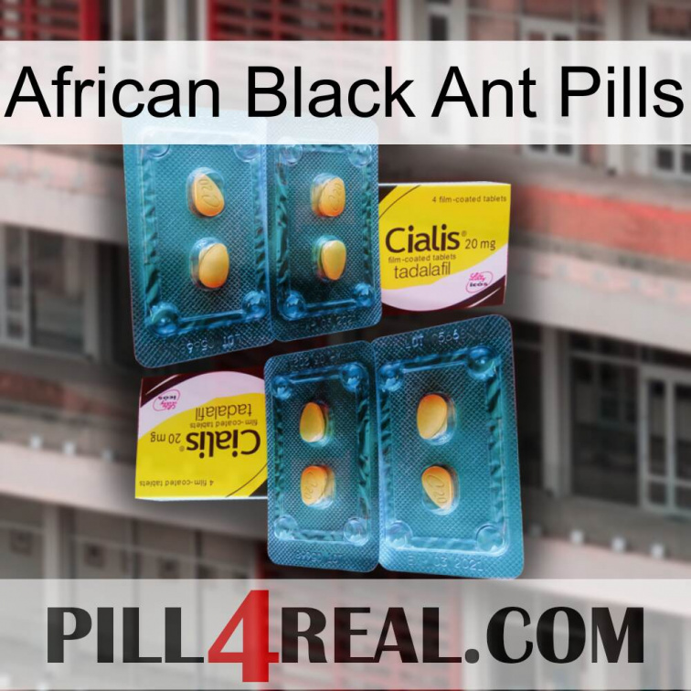 African Black Ant Pills cialis5